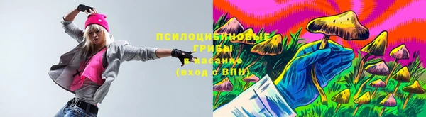 марки nbome Ельня