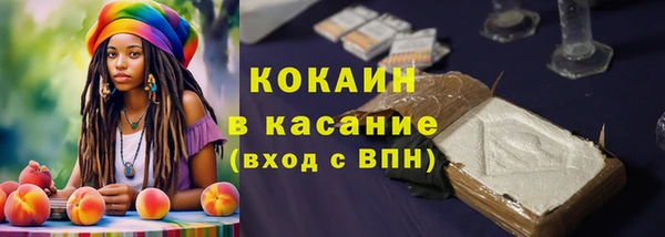 apvp Дмитриев