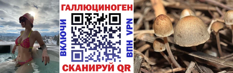 Галлюциногенные грибы GOLDEN TEACHER  Купить где  Нариманов 