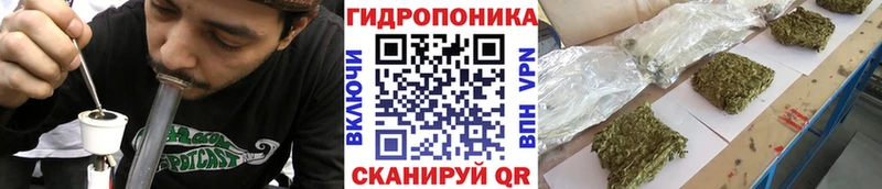 Канабис AK-47  Купить где  Нариманов 